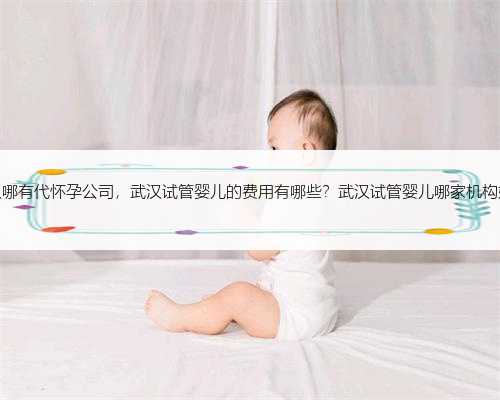 武汉哪有代怀孕公司，武汉试管婴儿的费用有哪些？武汉试管婴儿哪家机构好！