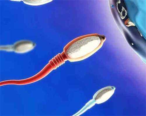 <b>2026武汉做供卵试管要多少钱费用呢</b>