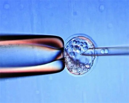 一代、二代、三代试管到底怎么选？