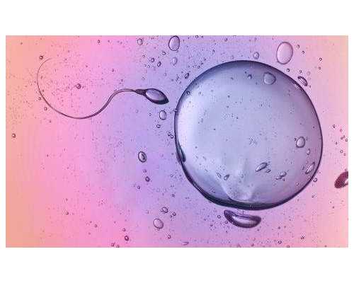 湖北供卵三代包生男孩费用明细一览，2026年已更新|湖北三代试管包生男孩价格