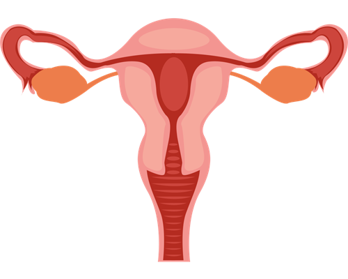 <b>武汉试管婴儿包成功是不是真的</b>