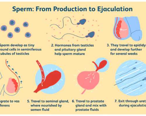 荆州三代试管私立机构流程！