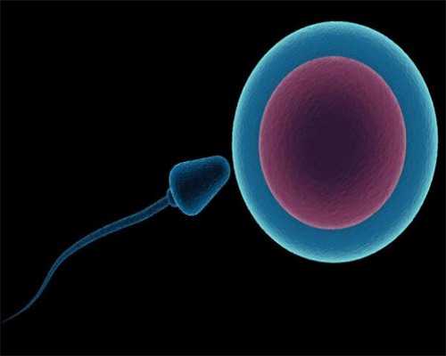 中国做第二代试管婴儿成功率