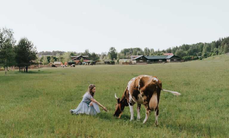 黄冈第三代专业代生机构私立医院排名？黄冈哪个医院是公立三甲医院