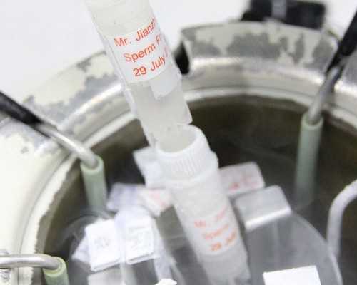 宜昌第三代试管代生男孩筛查什么病,襄阳试管代生男孩第三代