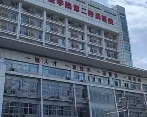 提高卵子质量的五大实用技巧