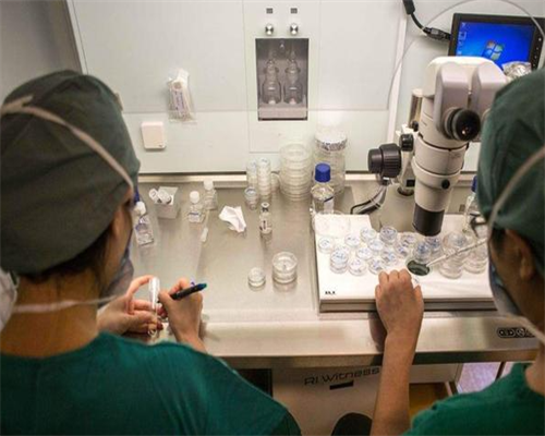 <b>代孕双胞胎费用-试管代孕的具体流程,后悔让孩子读福尔摩斯，年龄太小真不适</b>