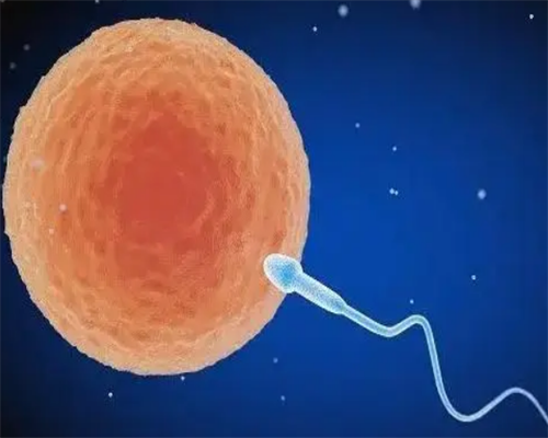 做三代试管婴儿的成本(哪个医*好)