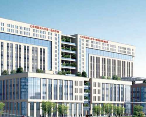 一颗完美的冻胚胎