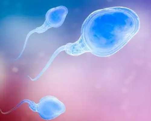 安全的代孕服务哪里能做-武汉供卵能成功吗,试管预移植费用多少钱一次 试管前