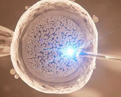 茄子：怀孕中期能否安全食用？