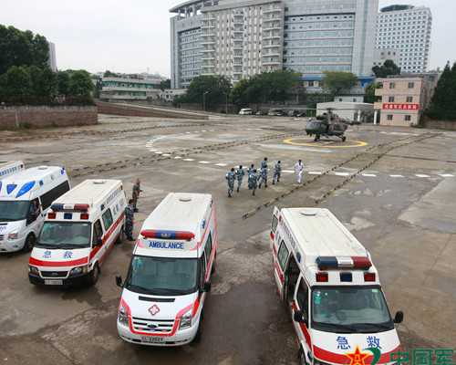 试管婴儿破卵药有哪些(破试管的作用)