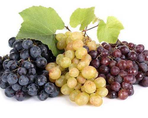 高效回奶指南：挤出还是憋回去？