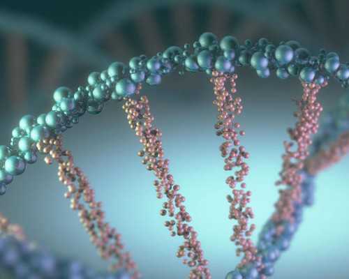 包成功代孕网,2026四川幼稚子宫做试管婴儿多少钱？附三代试管怀孕的医院介绍