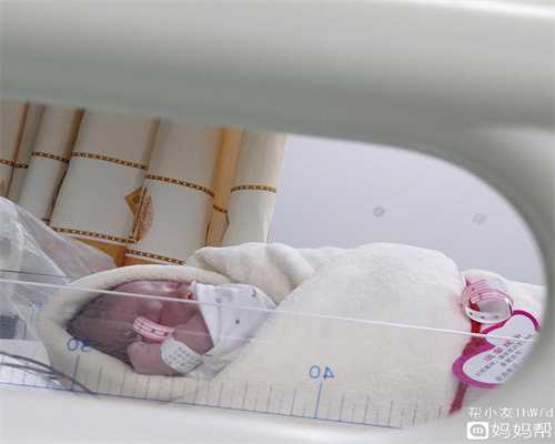 泰国重庆代孕双胞胎多少钱,代孕，男性生育面面
